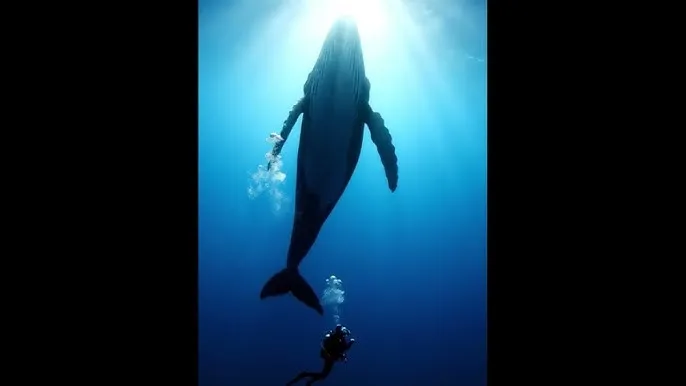 狗蛋奇兵 - 深蓝星球：探索海洋深处的未知世界